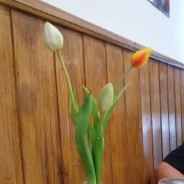 Dobozi Kisvendéglő, Doboz - Egyéb