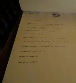 Doktor Blažej - Primátor Pub