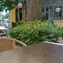 Don Papa Pizzéria Göd - Egyéb