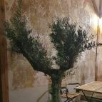 Dream Team Café - Kisvendéglő Tapolca - Egyéb