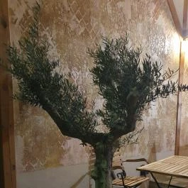 Dream Team Café - Kisvendéglő Tapolca - Egyéb