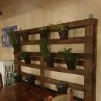 Dream Team Café - Kisvendéglő Tapolca - Egyéb