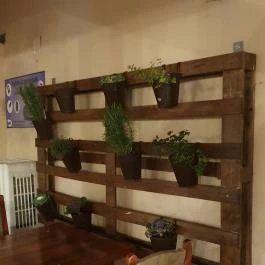 Dream Team Café - Kisvendéglő Tapolca - Egyéb