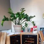 Dűlő Miskolc - Egyéb