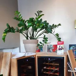 Dűlő, Miskolc - Egyéb