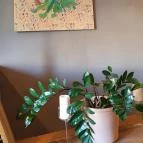 Dűlő Miskolc - Egyéb