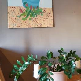 Dűlő, Miskolc - Egyéb