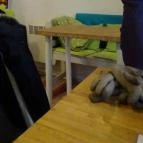 Dynamobake Budapest - Belső