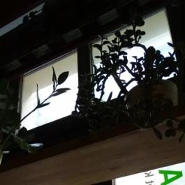 Dynamobake, Budapest - Egyéb