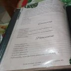 Dzsungel Pizzéria Gyömrő - Egyéb