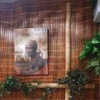 Dzsungel Pizzéria Gyömrő - Egyéb