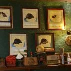 Ebatta Kultúrkocsma Pizzakuckó Százhalombatta - Egyéb