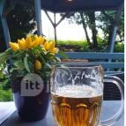 Ebatta Kultúrkocsma Pizzakuckó Százhalombatta - Egyéb