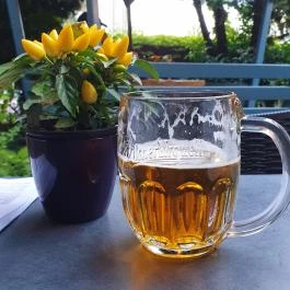 Ebatta Kultúrkocsma Pizzakuckó Százhalombatta - Egyéb