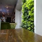 Ecocafe Budapest - Belső