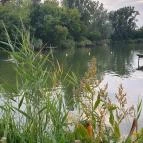 Éden Lounge Étterem Veresegyház - Egyéb