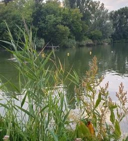 Éden Lounge Étterem