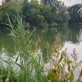 Éden Lounge Étterem Veresegyház - Egyéb