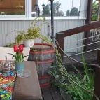 Éden Lounge Étterem Veresegyház - Egyéb