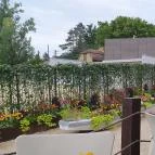 Éden Lounge Étterem Veresegyház - Egyéb