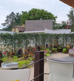 Éden Lounge Étterem