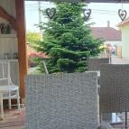 Édes Piros Desszertvilág Cukrászat Halásztelek - Egyéb