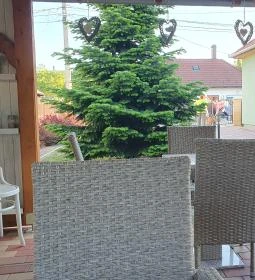 Édes Piros Desszertvilág Cukrászat