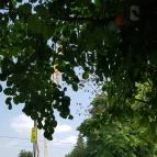 Édes Velence Cukrászda Velence - Egyéb