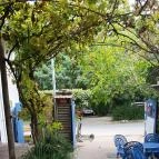 Édeske Cukrász Műhelye Nagymaros - Egyéb