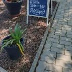 El Toro Cocktail terasz Balatonföldvár - Egyéb