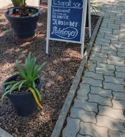 El Toro Cocktail terasz