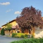 Elek Presszó Fót - Egyéb