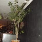 Élesztőház Budapest - Belső