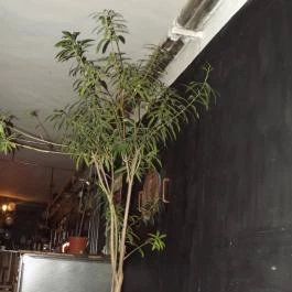 Élesztőház, Budapest - Belső