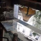 Első Pesti Rétesház Étterem Budapest - Belső