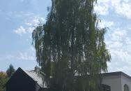 Emmarozs Grand Szeged