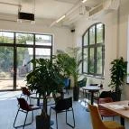 Emmarozs Grand Szeged - Egyéb