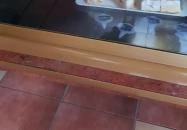 Encsi Cukrászda  Karcag