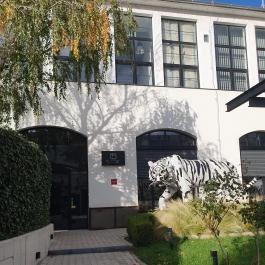 Epicurean, Budapest - Egyéb