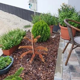 EPL Bisztró, Eplény - Egyéb