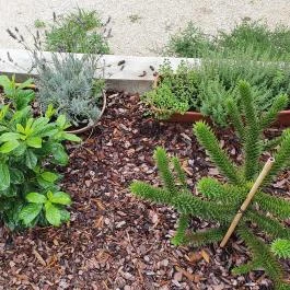 EPL Bisztró, Eplény - Egyéb