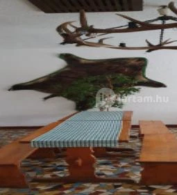 Erdei Büfé, Italozó