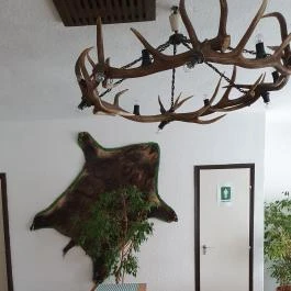 Erdei Büfé, Italozó Tés - Egyéb