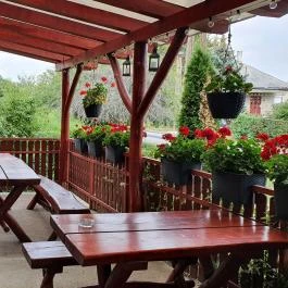 Erdei Büfé, Italozó Tés - Egyéb