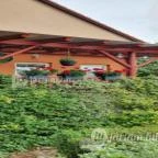 Erdei Büfé, Italozó Tés - Egyéb