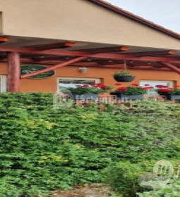 Erdei Büfé, Italozó