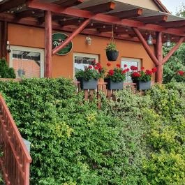 Erdei Büfé, Italozó Tés - Egyéb