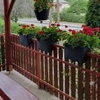 Erdei Büfé, Italozó Tés - Egyéb