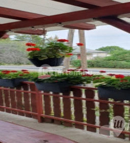 Erdei Büfé, Italozó