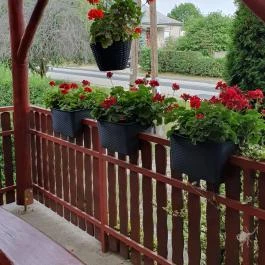 Erdei Büfé, Italozó Tés - Egyéb